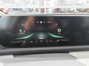 DFM Forthing 4 Gummimatten/Zulassung und erste Inspektion gratis