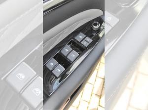 DFM Forthing 4 Gummimatten/Zulassung und erste Inspektion gratis