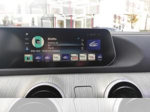 DFM Forthing 4 Gummimatten/Zulassung und erste Inspektion gratis