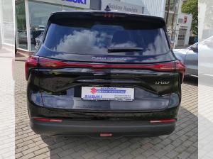 DFM Forthing 4 Gummimatten/Zulassung und erste Inspektion gratis