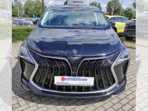 DFM Forthing 4 Gummimatten/Zulassung und erste Inspektion gratis