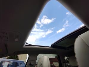 DFM Forthing 4 Gummimatten/Zulassung und erste Inspektion gratis