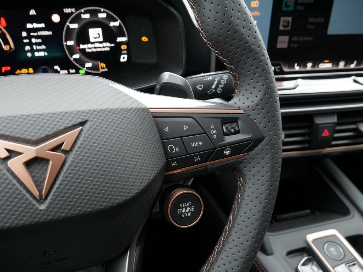 Cupra Leon Sportstourer VZ 2.0 TSI 4Drive - ACC LED PANO *SN224*