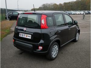 Fiat Panda HYBRID 1.0 GSE 70PS PDC CITY PAKET RADIO