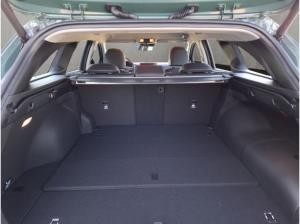 Kia Ceed Sportswagon PHEV Spirit, verschiedene Farben sofort Lieferbar