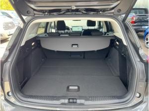 Ford Focus Active X Mild-Hybrid *Sofort Verfügbar*