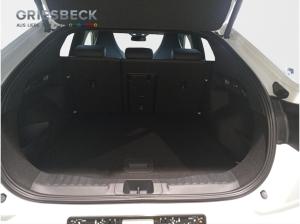 Ford Capri (Extended Range) Premium ACC HUD