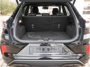 Ford Puma ST-Line 125PS Automatik *Matrix-LED, Winter-Paket, GJR*