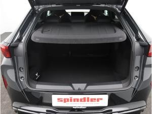 Cupra Tavascan Endurance / Navi, Matrix, App, RFK, ACC