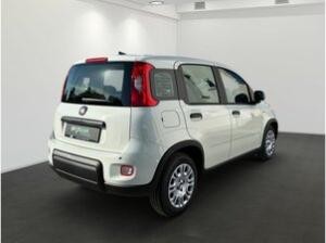Fiat Panda 1.0 GSE Hybrid ***Sofort verfügbar