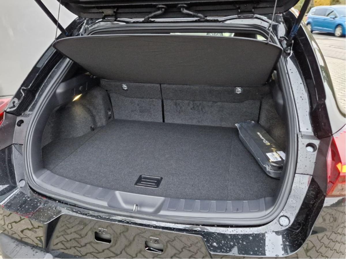 Lexus UX-300h Hybrid 💥 F-Sport Design 💥 Bis zu 15 Jahre Garantie!