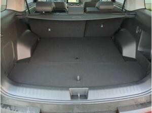 Hyundai SANTA FE SANTA FE 1.6 Hybrid Benzin *4WD* INTRO *Schiebedach*