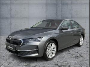 Skoda Octavia 1,5 TSI Selection Winter NAVI Fahrassistent