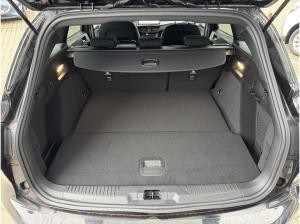 Ford Focus ST-Line Turnier 125PS Tageszulassung 🚀  Sofort Verfügbar🚀