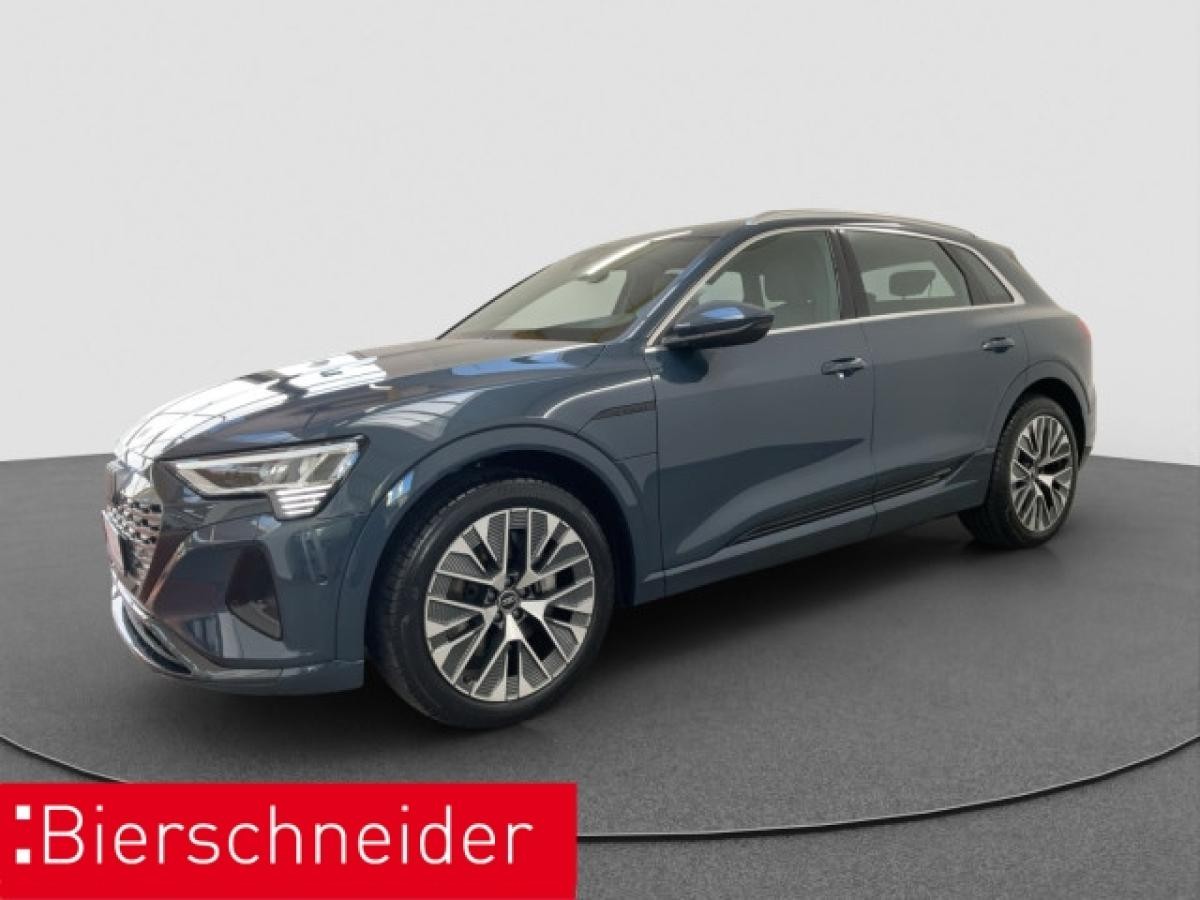 Audi Q8 e-tron 55 qu advanced AHK PANO MATRIX 21