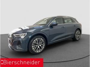 Audi Q8 e-tron 55 qu advanced AHK PANO MATRIX 21