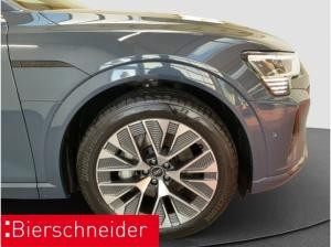 Audi Q8 e-tron 55 qu advanced AHK PANO MATRIX 21