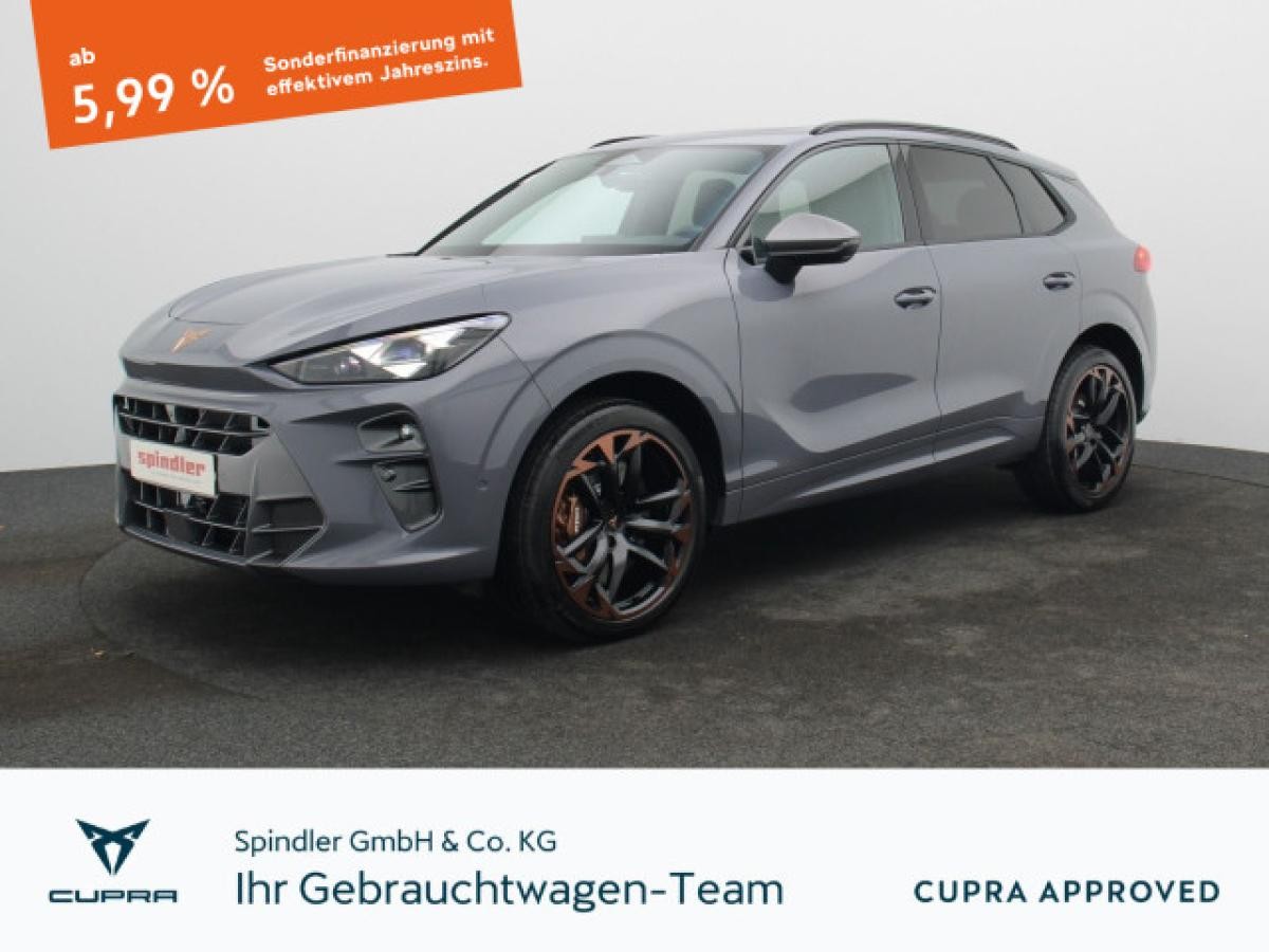 Cupra Terramar VZ 2.0 TSI 4Drive DSG / Matrix, Pano