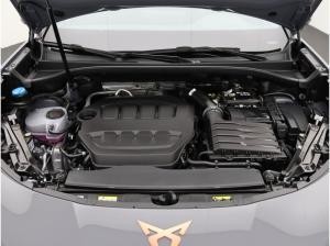 Cupra Terramar VZ 2.0 TSI 4Drive DSG / Matrix, Pano