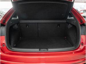 Volkswagen Taigo 1,5 TSI DSG R-Line IQ.Light R-Kamera 17"