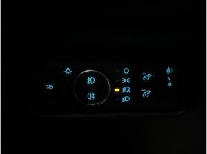 Ford Ranger WILDTRAK 2.0 DoKa E-4WD*AB-LAGER-AKTION*NAV*iACC*360°*PDC*