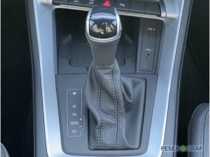 Audi Q3 35 TDI S tronic NAVI+/ACC/PDC+/VC+/Kamera