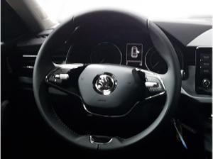 Skoda Kamiq Ambition 1.0l TSI KLIMA/SHZ/LM/PDC