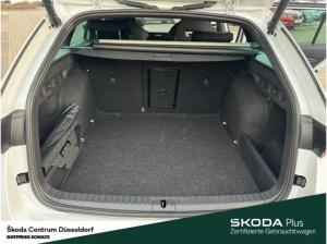 Skoda Octavia Combi Sportline 4x4 TSI DSG Infotainment-Paket Columbus Sitze vorn elektr. verstellbar (mit Memory)