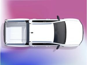 Ford Ranger Wildtrak 2.3 PHEV Navi | Kamera | 18 LMF