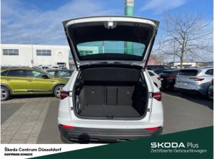 Skoda Karoq Selection TSI DSG AHK Infotainment-Paket Amundsen Komfort-Paket Plus