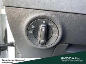 Skoda Karoq Selection TSI DSG AHK Infotainment-Paket Amundsen Komfort-Paket Plus