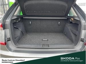 Skoda Kamiq 1.0 TSI DSG Selection AHK Fahrassistenz-Paket Plus