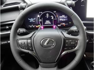 Lexus UX-300h UX 300h F Sport Design *Sofort* +div. Farben!