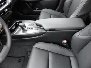 Lexus UX-300h UX 300h F Sport Design *Sofort* +div. Farben!