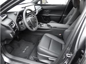 Lexus UX-300h UX 300h F Sport Design *Sofort* +div. Farben!