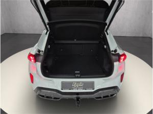 Cupra Terramar VZ 2.0 TSI 195 kW (265 PS) 7-Gang DSG 4Drive AHK Matrix Panoramadach