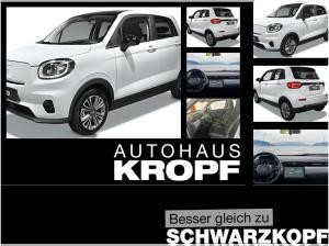 Leapmotor T03 **RKF, ACC, Spurhalteassistent, Panorama**