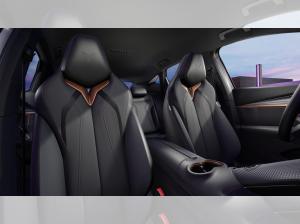 Cupra Tavascan VZ 4Drive 77 kWh | inkl. W+V | Privat