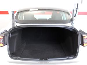 Tesla Model 3 Performance | SOMMERAKTION | nur Gewerbeleasing -13731