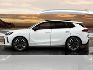 Cupra Terramar VZ 2.0 TSI DSG 4Drive Digital Drive Paket Pano