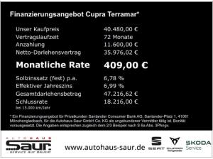 Cupra Terramar 1.5 eTSI DSG AHK SENNHEISER RÜCKFAHRKAMERA