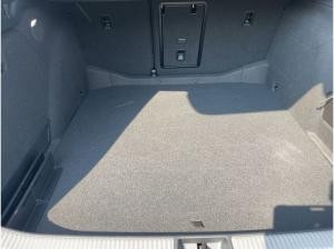 Skoda Superb Selection 2.0 TDI DSG + Eroberungsaktion + sofort verfügbar