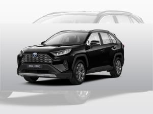 Toyota RAV 4 2.5 Hybrid 4x4 Team Deutschland +Technik P.