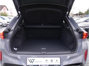 Cupra Terramar VZ 2.0 TSI 4Drive - PANO MATRIX-LED 360° *SN220*