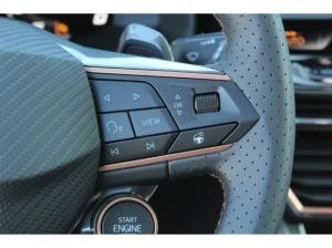 Cupra Formentor 2.0 TSI DSG VZ NAVI LED AHK 360  KAMERA GRA 19