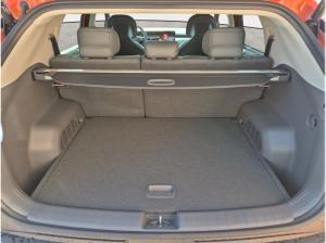 Kia EV3 EARTH⚡436 KM RW⚡| WINTER | UPGRADE | BUSINESS | GEWERBLICH