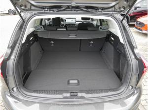 Ford Focus Turnier 1.0 MHEV Active