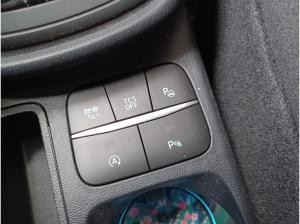 Ford Puma 1.0 ST-Line PDC SHZ KAMERA NAVI ACC LED