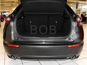 Mazda CX-30 ⚡️frei konfigurierbar⚡️Hagen_P