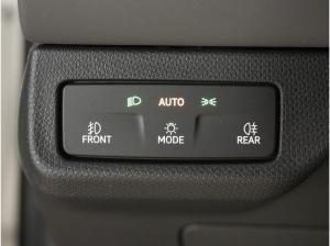 Cupra Terramar 2.0 TSI 4Drive